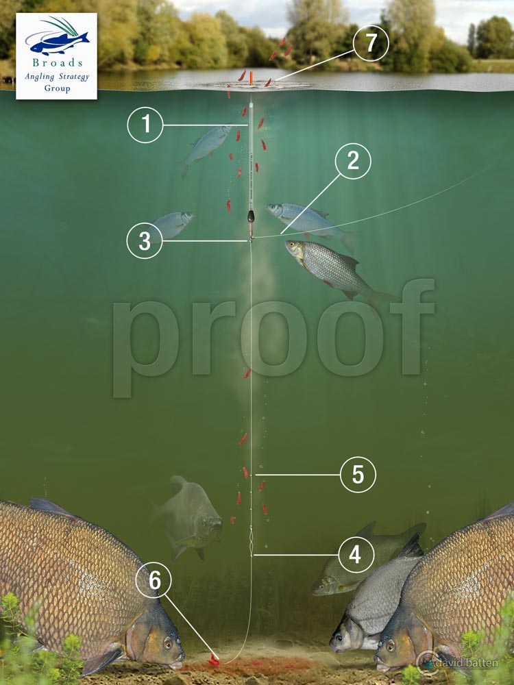 lakebreamwagglerrigPROOF David Batten Design
