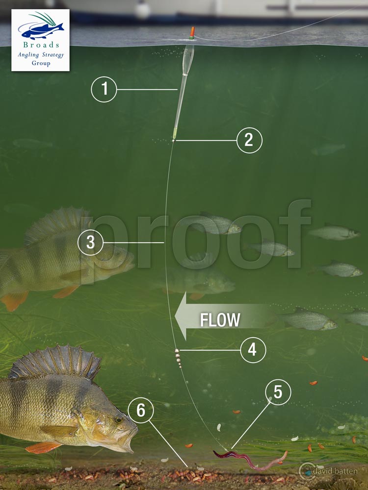 riverperchfloatrigPROOF David Batten Design