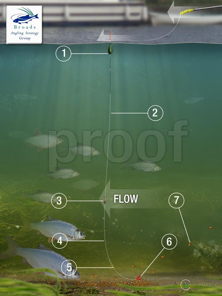 riverroachpolerigPROOF David Batten Design