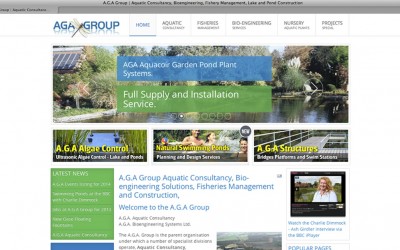 A.G.A Group Website Development