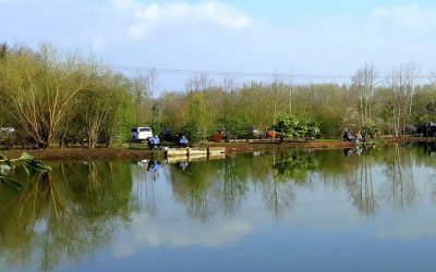 Henlow Bridge Lakes